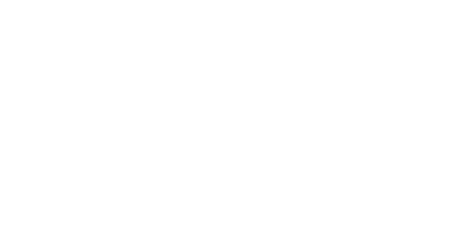 Mæland-Service